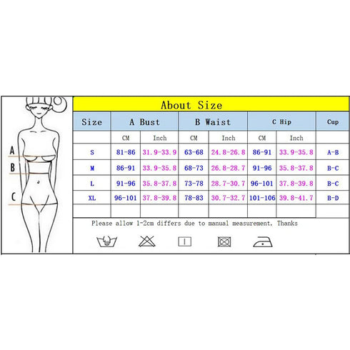Micro Bikinis 2025 Sexy Women Swimsuit Swimwear Female Bikini Set Push Up Biquini Bathing Suit Black Swimming Suits Beachwear