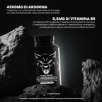 Arginin 4500mg + Vitamin B6 Vitastrong, 120 Tabletten L-Arginin HCL Hochdosiert Kyowa Qualität, L-Arginin Pulver Rein mit Vit B6, Pre-Workout Supplement Post-Workout Glutenfrei-Ohne GVO