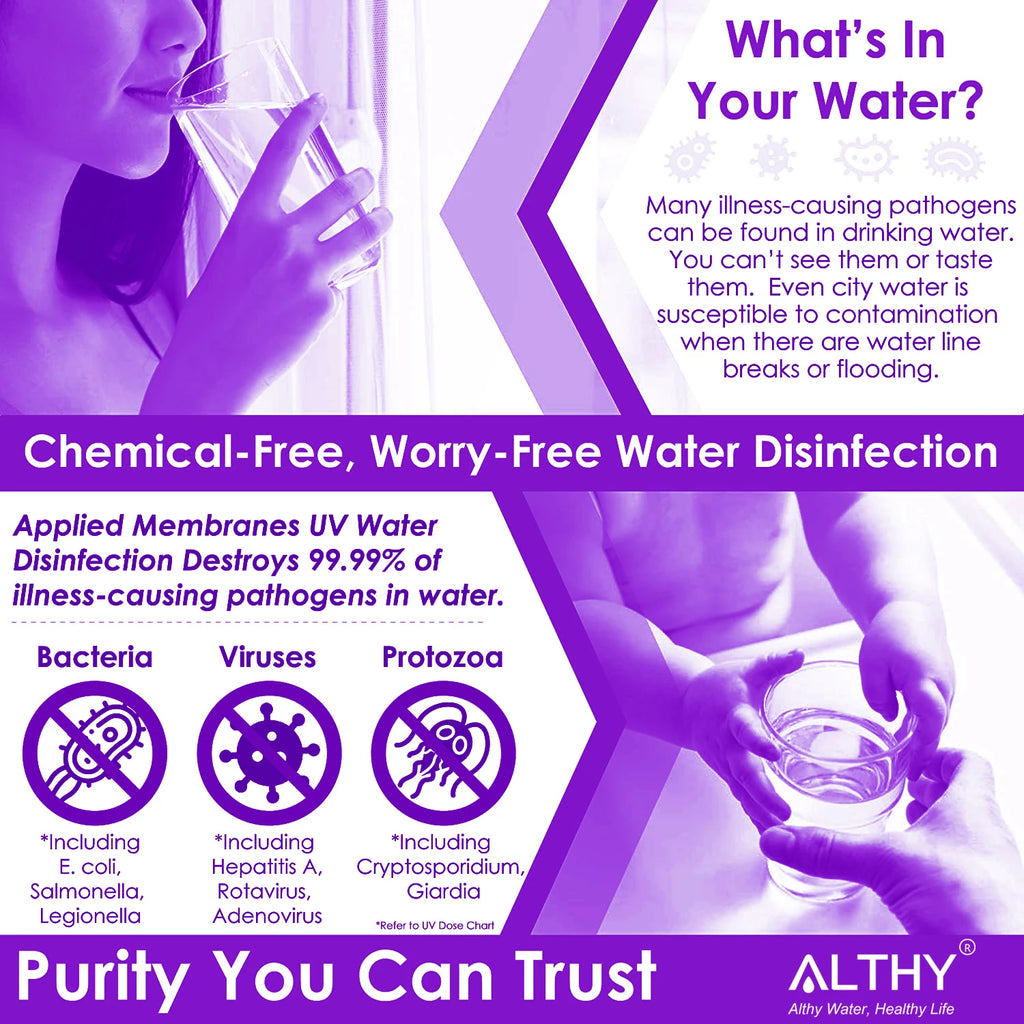 ALTHY UV-Ultraviolett-Wassersterilisator Wasseraufbereitungssystem Desinfektionslampe + Durchflussschaltersteuerung Edelstahl 1 GPM