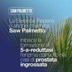 SERENOA REPENS, Prostatenergänzung 60 Tabletten mit: Sägepalme, Boswellia, Kürbis und Lycopin. Serenoa Repens Prostata 640mg mit: Brennnessel, Granatapfel und Weidenröschen. Prostatenergänzung Leistungsstarke Formel | LAGA Pharma. LA