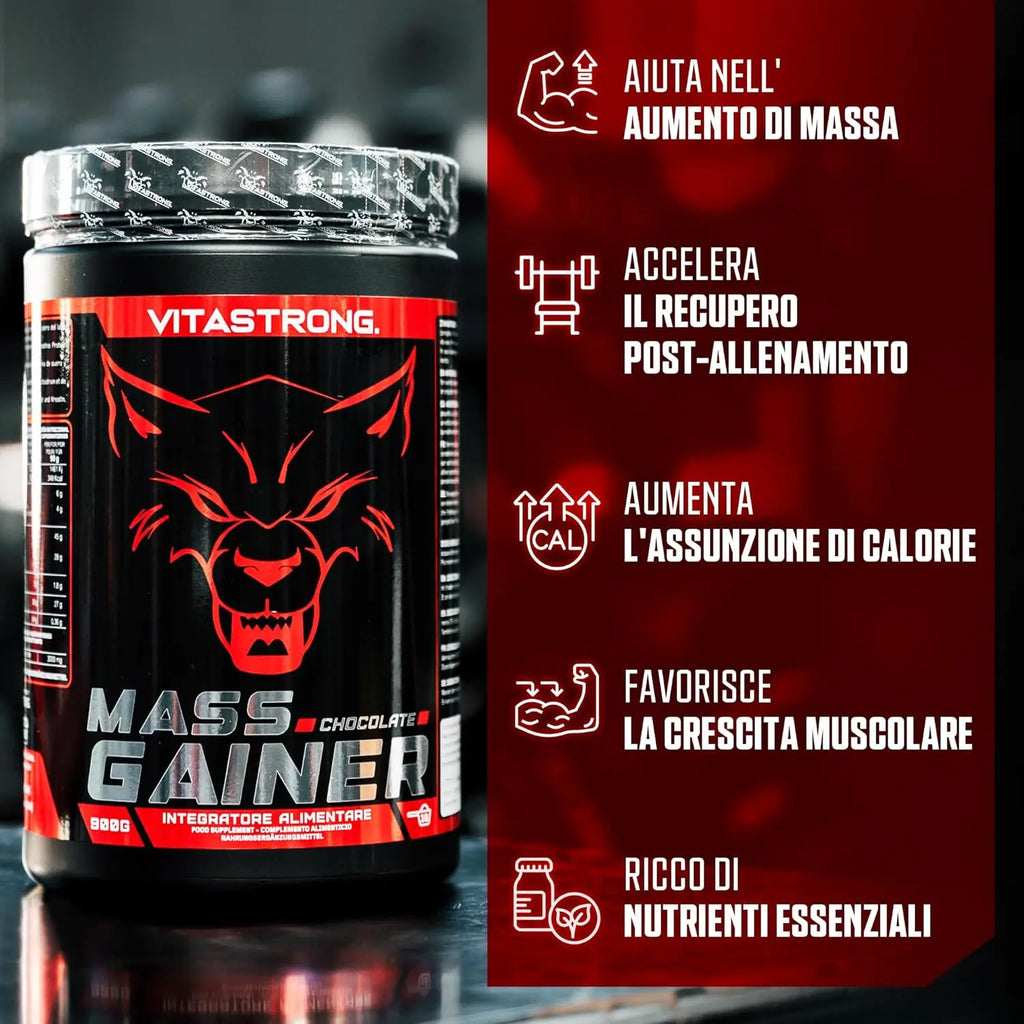 Mass Gainer Vitastrag, 30 % hochkalorisches Proteinpulver, Maltodextrin, Cluster Dextrin, 3G Kreatin-Monohydrat-Pulver, Gainer Muskelmasse Männer & Frauen Hohe Qualität, Weight Gainer