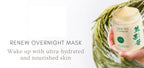 Arbutin Good Night Frozen Film Gesichtspflege Feuchtigkeitsspendende Anti-Aging Gesichtsmasken Waschfreie Schlafmaske