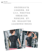Damen-Sportbekleidung für Fitness, Laufen, Joggen, nahtloses Langarm-Sportshirt für Damen, Yoga-Top, weibliche Workout-Oberteile, T-Shirt