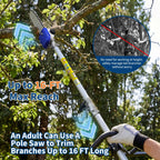 43CC 52CC Benzin Hochentaster 30cm Schnittlänge Astsäge Ausziehbar 2,9m Baumsäge Gartengerät Mit Schultergurt