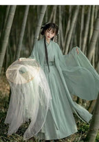 China Traditionelle Hanfu Damen Abendkleider Elegante Feenrock Weite Große Ärmel Elegantes Kleid Bankett Tanz Kleidung Frühling