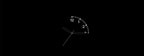 Globale Version OnePlus Watch Lite Smartwatch, 1,46 Zoll Display, 59g, 10 Tage zuverlässige Akkulaufzeit, Herzfrequenz, Blutsauerstoffüberwachung