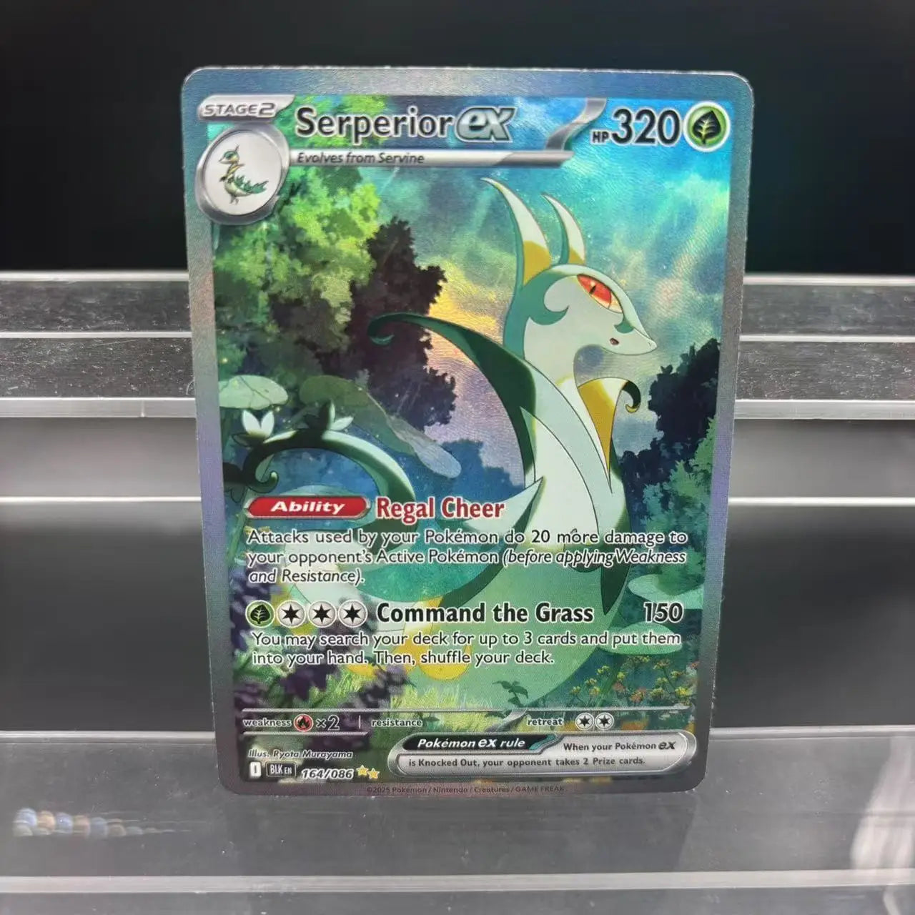 DIY PTCG Sammelkarten Zekrom Reshiram ex Victini Seismitoad Selbstgemachte Einzelkarte Klassisches Spiel Anime Karte Geschenk Spielzeug