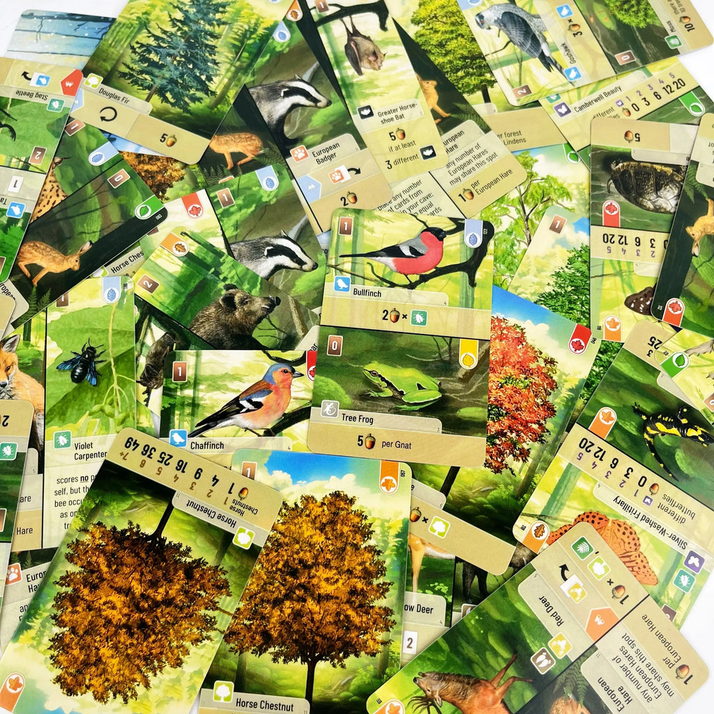 Forest Shuffle Kartenspiel – Cleveres Strategiespiel, Spaß für die ganze Familie, Kinder und Erwachsene – WALDRAND, ALPEN, Erweiterungsspiel