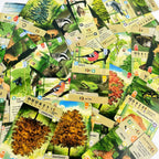 Forest Shuffle Kartenspiel – Cleveres Strategiespiel, Spaß für die ganze Familie, Kinder und Erwachsene – WALDRAND, ALPEN, Erweiterungsspiel