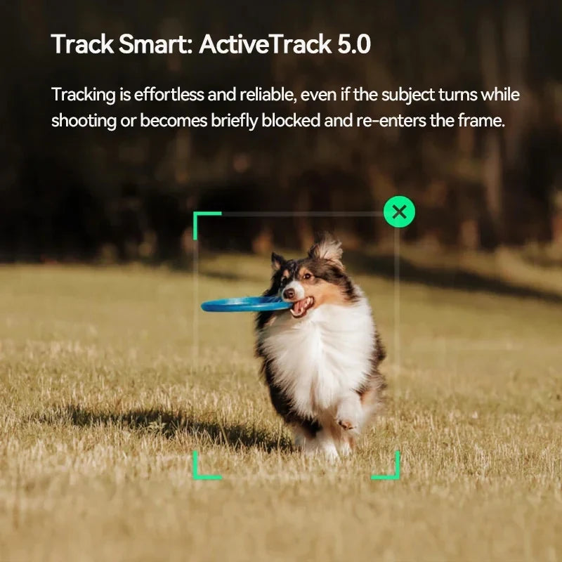 DJI OM s'osmo Mobile SE Handheld Gimbal Active Track Magnetisches Design Schnelles Scrollen DJI Brandneu Original auf Lager