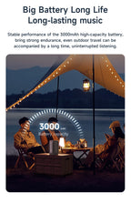 ZEALOT-S32PRO Tragbarer Bluetooth 5.2 Lautsprecher Outdoor Wasserdichter Kabelloser TWS Mini-Säulenlautsprecher Outdoor TF-Karten Boombox