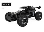 Oike RC-Car 1:16 Modell mit LED-Lichtern Funkferngesteuertes Offroad-Kletterfahrzeug Outdoor-Autos Drift-Rennspielzeug Jungen Geschenke