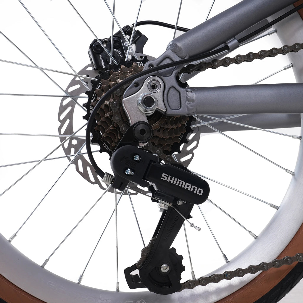 EVERCROSS TECH 20 Zoll Klapprad-7 Gänge-Rahmen Ultraleichtes Aluminium-Scheibenbremse-EM1