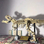 3145 Teile 76968 Dinosaurier-Park Fossilien Bausteine Set Erwachsene Zusammengebauter Steine Modell Spielzeug Geburtstagsgeschenke Kompatibel mit Set
