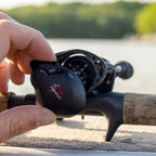Piscifun Carbon XCS Baitcaster Rolle 8kg Bremskraft 156g Baitcasting Angelrolle 8,1:1 Übersetzung Duales Bremssystem Rahmenwurfrolle
