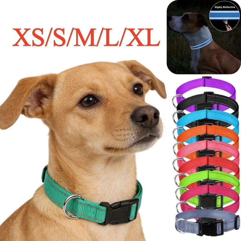 Hundehalsband Nylon Reflektierendes Halsband für kleine, mittlere und große Hunde Haustier-Leinen Halsbänder für Hundebedarf Haustier-Zubehör Hauptbild