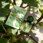 High-End Rosen Damenparfüm Langanhaltender Duft Frischer Jasmin Duft Leichter Parfüm Charmantes Duftendes Tagesparfümspray