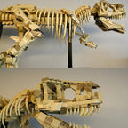3145 Teile 76968 Dinosaurier-Park Fossilien Bausteine Set Erwachsene Zusammengebauter Steine Modell Spielzeug Geburtstagsgeschenke Kompatibel mit Set