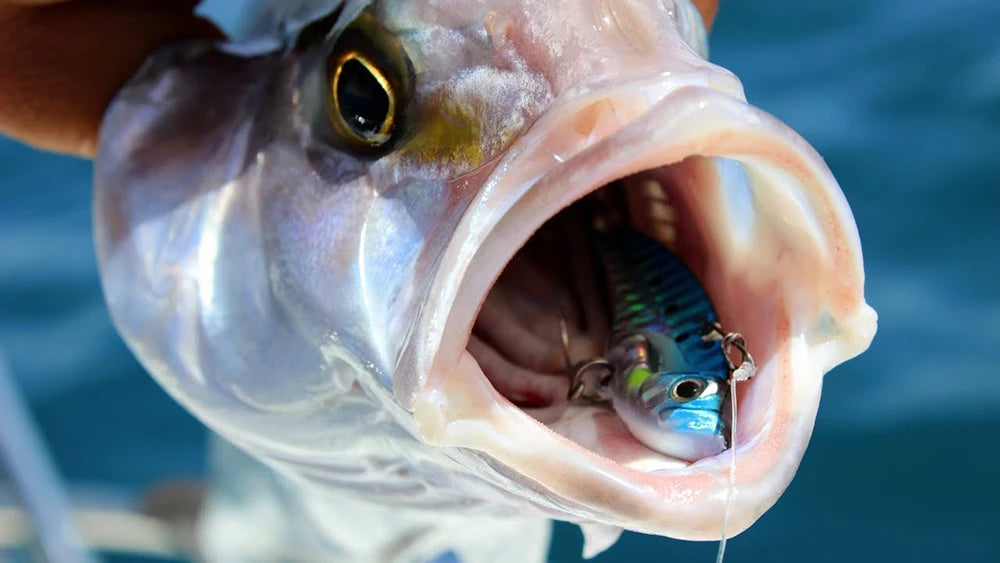 Metall Jig VIB Köder 7g 10g 15g Löffel Spinner Laserlackierung Angelgerät Drillinge Swimbait Pesca Bait Spinnerbait VIBRATION
