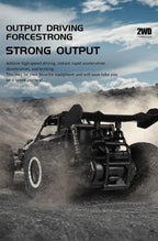 Oike RC-Car 1:16 Modell mit LED-Lichtern Funkferngesteuertes Offroad-Kletterfahrzeug Outdoor-Autos Drift-Rennspielzeug Jungen Geschenke