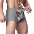 Herren Einzigartige 3D-gedruckte Wolfs-Adlerkopf-Flachwinkel-Hose mittelhohe Boxershorts Atmungsaktives gestricktes Modal-Gewebe