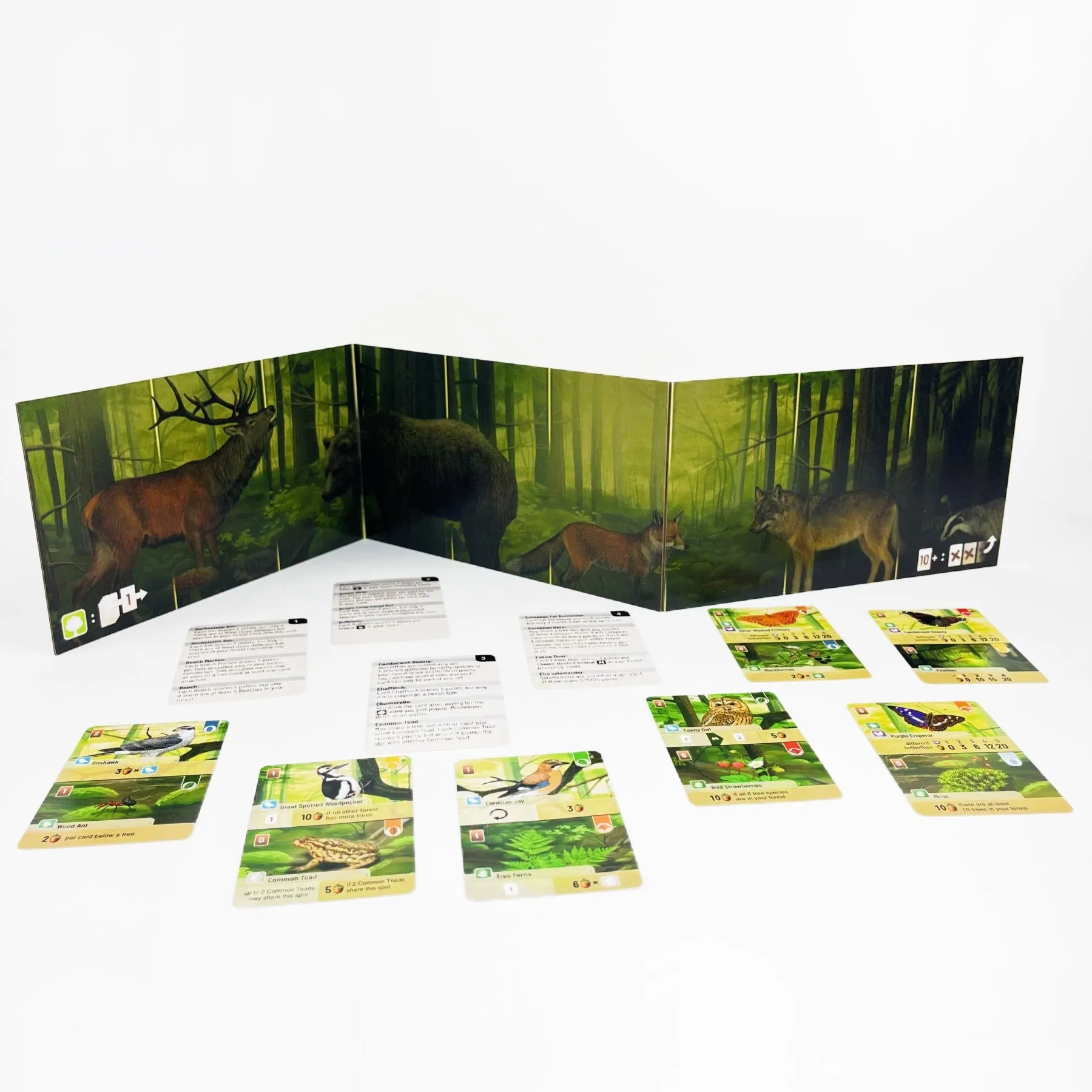 Forest Shuffle Kartenspiel – Cleveres Strategiespiel, Spaß für die ganze Familie, Kinder und Erwachsene – WALDRAND, ALPEN, Erweiterungsspiel