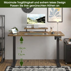 Devoko elektrischer höhenverstellbarer Schreibtisch 120 × 60 cm mit Monitorständer Ergonomischer Sitz-Steh-Schreibtisch (Weiß)