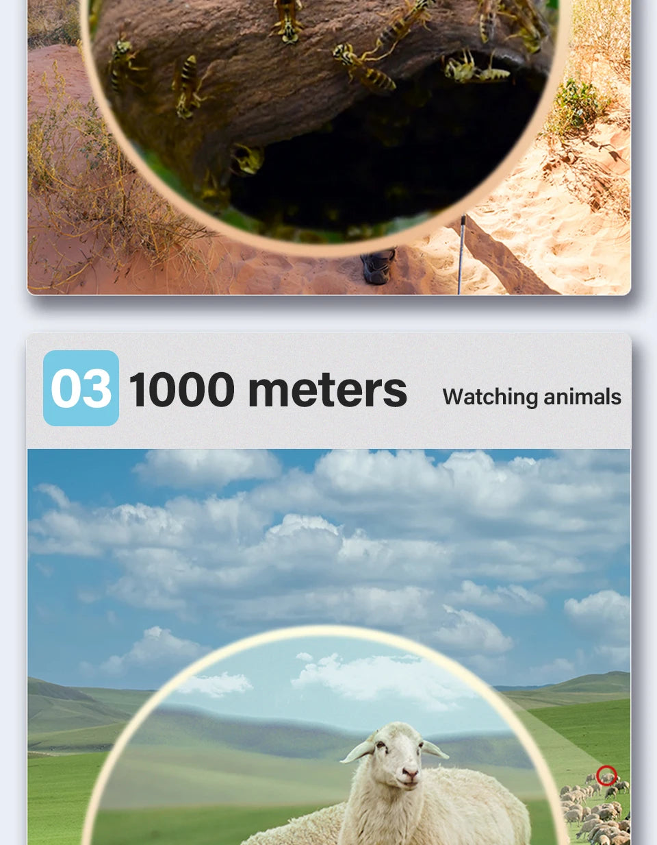 80x100 HD ZOOM Leistungsstarkes monokulares Teleskop Tragbares Fernglas Langstrecken-Teleskop Jagd Camping mit Stativ und Telefonclip