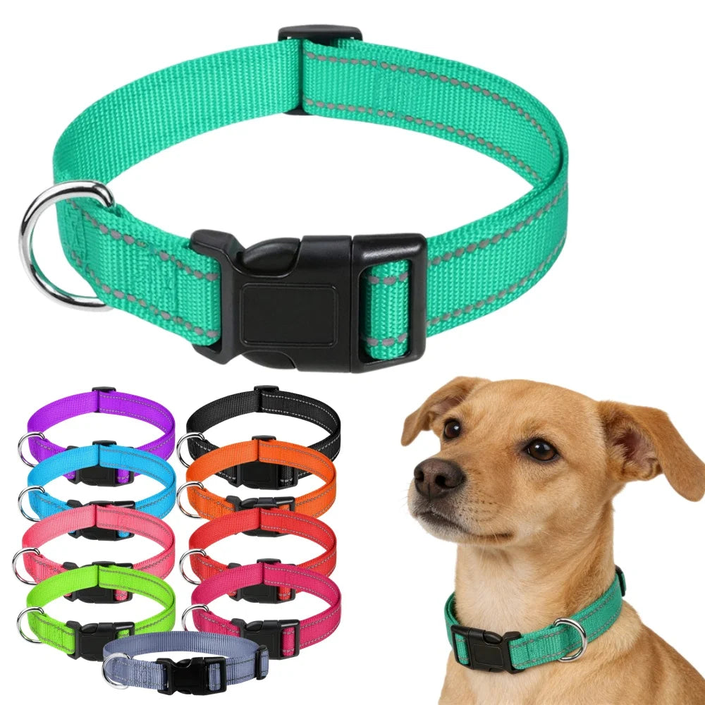 10 Farben Hundehalsband Nylon Halsband für kleine mittelgroße Hunde Chihuahua Leine Reflektierende Halsbänder Zubehör Haustierbedarf Hauptbild