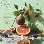 High-End Rosen Damenparfüm Langanhaltender Duft Frischer Jasmin Duft Leichter Parfüm Charmantes Duftendes Tagesparfümspray