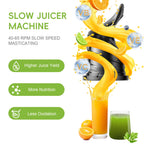 BioloMix Kaltpress-Entsafter, mit 130 mm Einfüllschacht, für ganze Früchte und Gemüse, hohe Saftausbeute, BPA-freier Slow Masticating Juicer