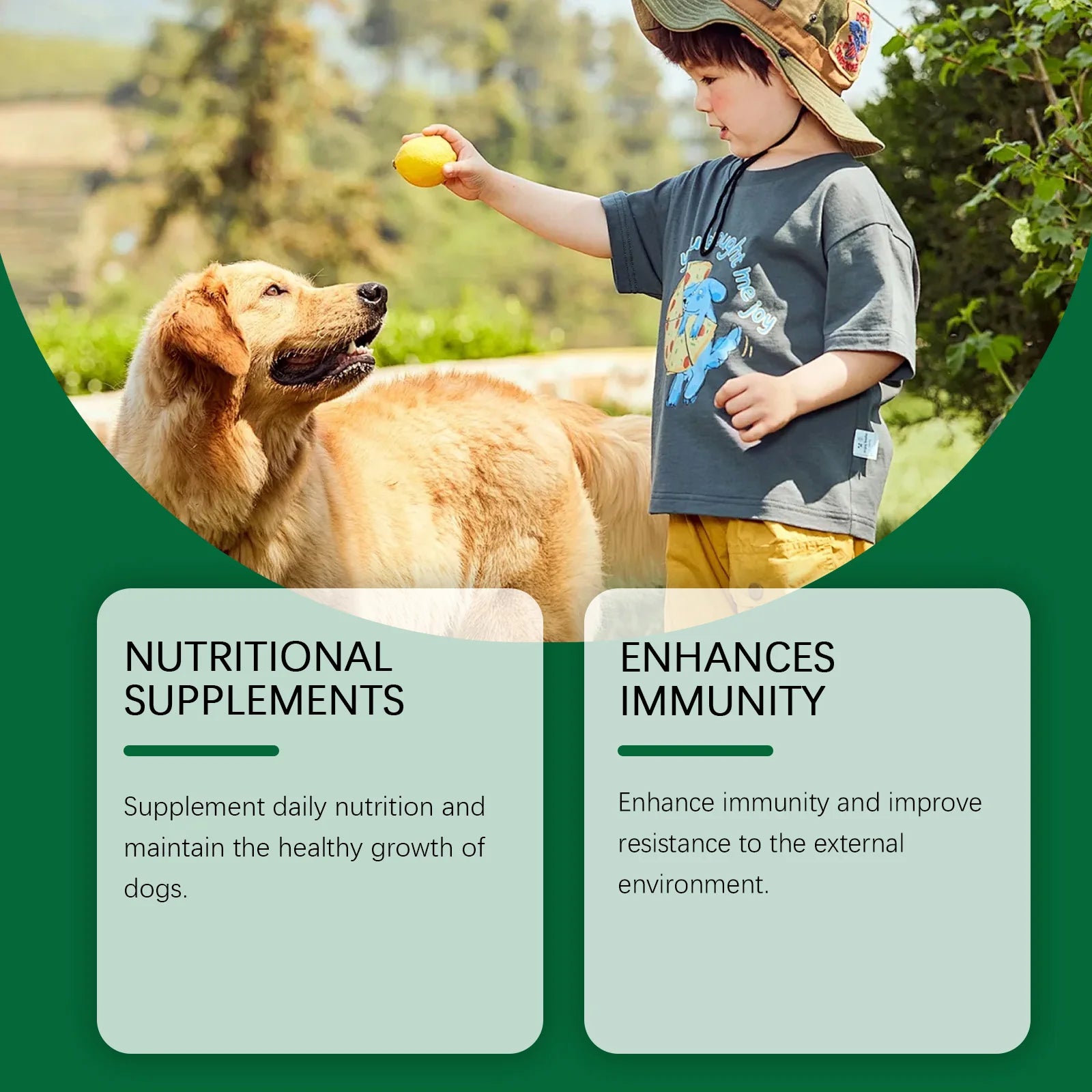60ml Multivitamin-Ergänzung für Hunde zur Stärkung des Immunsystems, sanfte Formel zur Linderung von Hautbeschwerden, tägliche Nahrungsergänzung