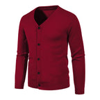 2024 M-5XL Herbst Herren Strickjacke Dünner V-Ausschnitt Basic Elastisch Slim Fit Dünner Pullover Einfarbig Freizeit Vielseitige Jacke
