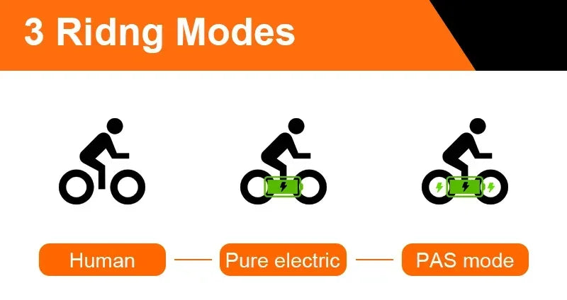 Hochwertiges Elektromotorrad, 750-W-Motor, 48-V-15-Ah-Akku, kann als Transportmittel und Offroad-E-Bike verwendet werden