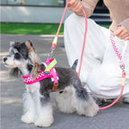 Small Dog Harness, Saddle Style No Pull Adjustable for  Puppy  Pet Chest for dog Breathable  Walking dog supplies s