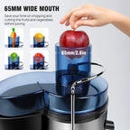 BRIEFNESS Entsafter Zentrifugalentsafter Ganze Früchte Gemüse 500W 65mm Weite Öffnung 2 Geschwindigkeiten 500ml Effizienter Saftbereiter