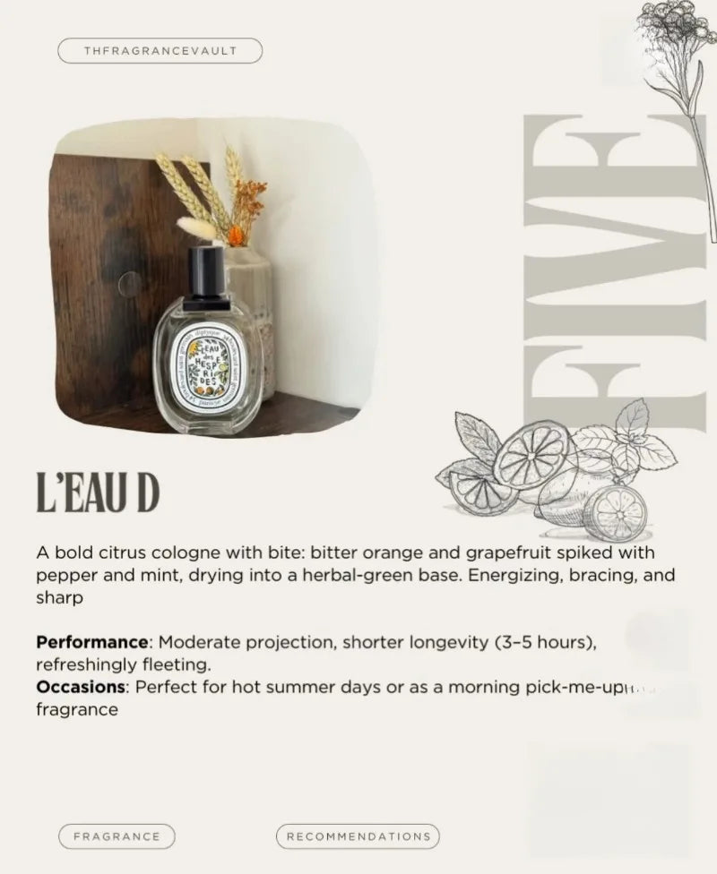 Temptation Perfumes Everyday Essential Mix – Oud-Holz Patschuli Moschus Ansprechender Duft Kölnisch Wasser Männer Duftend Echtes Herren-Kölnisch Wasser