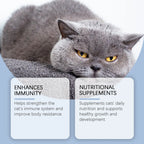Yegbong 50ml Katzenvitamin-Nahrungsergänzungsmittel Tägliche Pflege zur Unterstützung der Ernährung, Förderung des Wachstums und Unterstützung der Genesung von Katzen, Vitaminpflegetropfen
