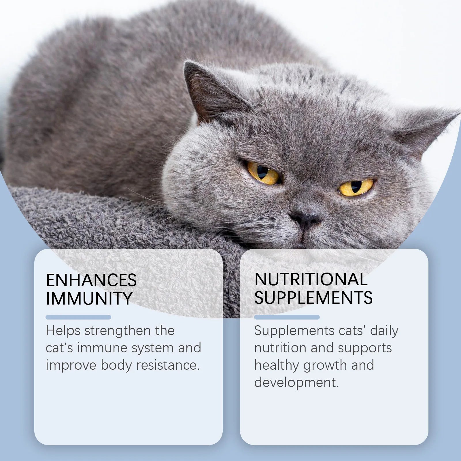 Yegbong 50ml Katzenvitamin-Nahrungsergänzungsmittel Tägliche Pflege zur Unterstützung der Ernährung, Förderung des Wachstums und Unterstützung der Genesung von Katzen, Vitaminpflegetropfen
