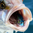 Metall Jig VIB Köder 7g 10g 15g Löffel Spinner Laserlackierung Angelgerät Drillinge Swimbait Pesca Bait Spinnerbait VIBRATION