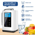 Alkalische Wassermaschine Ionisator PH Wassergerät Alkalischer Wasserspender 5 Platten Platinbeschichtung Alkalischer Wasserionisator